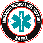 logo curso amls